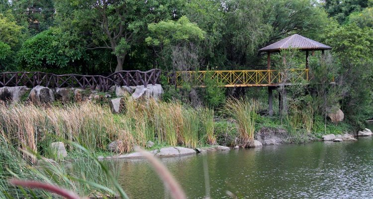 LOTUS POND